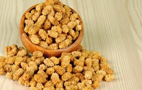 توت خشک عالی و تازه مناسب استفاده روزانه